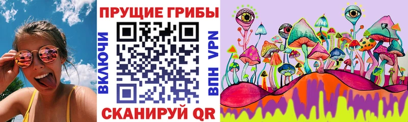 наркота  Лянтор  Псилоцибиновые грибы прущие грибы 